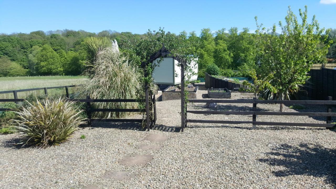 Sheepwash Shepherds Hut Bebside Zewnętrze zdjęcie