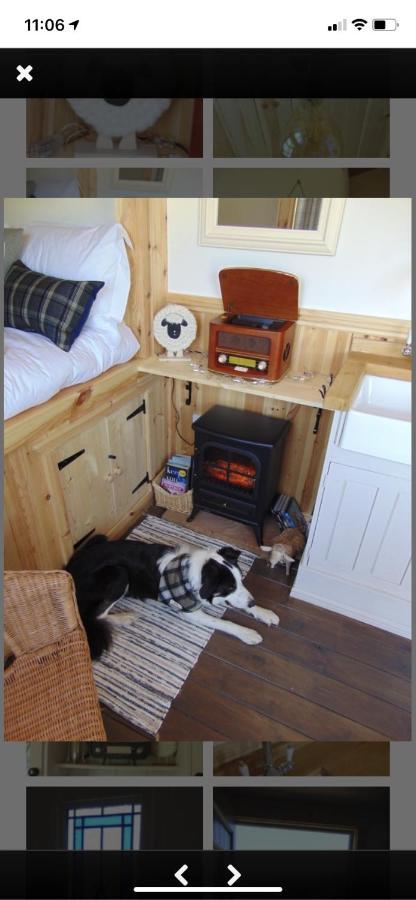 Sheepwash Shepherds Hut Bebside Zewnętrze zdjęcie
